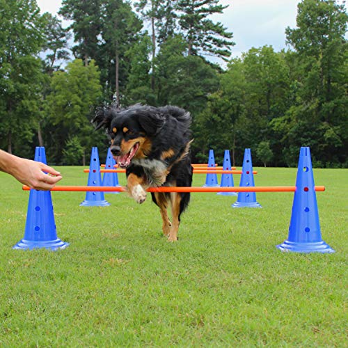 Dog Agility Hurdle Cone Set - Canine Training Set - Obedience, Rehabilitation - 16 Cones and 8 Rods - size: 16 cones / 8 rods