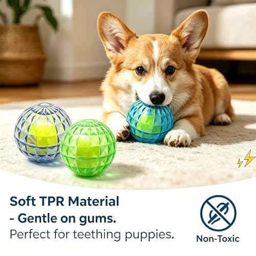 Squeaky Dog Balls 3-Pack, Ball-in-Ball Design with Inner Tennis Ball, Squeeze-to-Squeak TPR Chew Toys, High-Bounce Floating Fetch Balls for Pool Beach Training, Easy-Clean Puppy Teething Toy