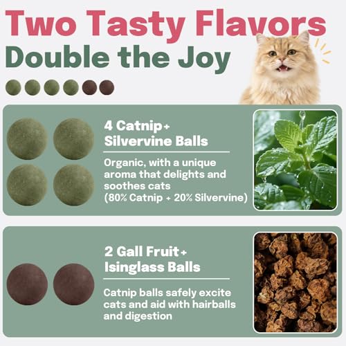 Catnip Balls 6 Pack with Natural Silvervine & Gall Fruit