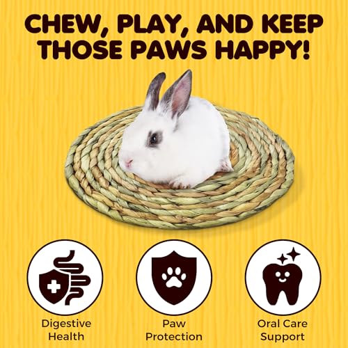 SunGrow Round Rabbit Grass Mat, Chew Toy for Guinea Pigs and Hamsters, Enclosure Bedding for Small Animals, Gnawing and Relaxation Hideout Spot, 8" x 0.7", 1 Pc
