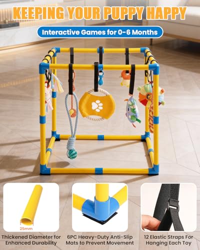 Indoor Puppy Play Gym, Dog Jungle Gym for Small Dogs, 23.6"x 23.6" - size: 23.6 x 23.6 x 23.6inch