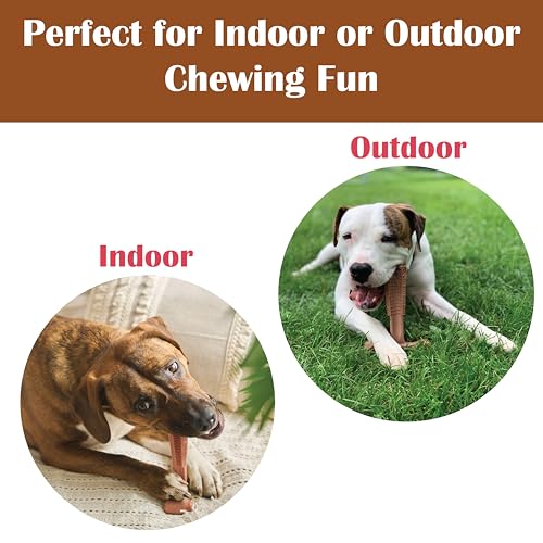 SPOT Bam-Bones Plus T-Bone Dog Chew, Beef, 7in, 60-90 lb Heavy Chewers - size: Large