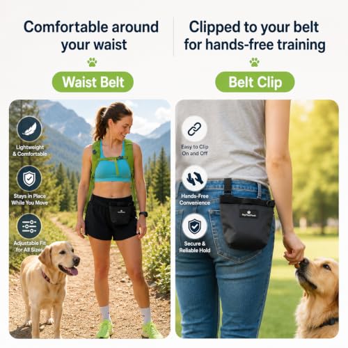 Dog Treat Pouch for Training, Magnetic Closure, Hands-Free (Gray) - color: Grey