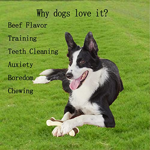 3 Pack Dog Chew Toys for Aggressive Chewers ,All Breed, Beef Flavor Bones - size: 3 PCS WBEEF bone