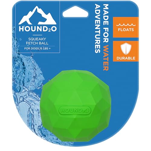 Squeaky Fetch Ball - Floating Outdoor Dog Toy - Green - color: Green