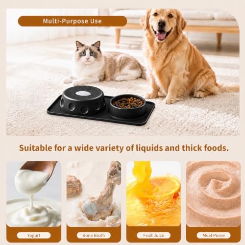 Slow Feeder Dog Bowl and Cat Water Bowl Set, 2 in 1 Pet Food and Water Bowl with Spill Proof Tray, Maze Puzzle Slow Eating Bowl for Cats and Dogs Black - color: Black, size: Double