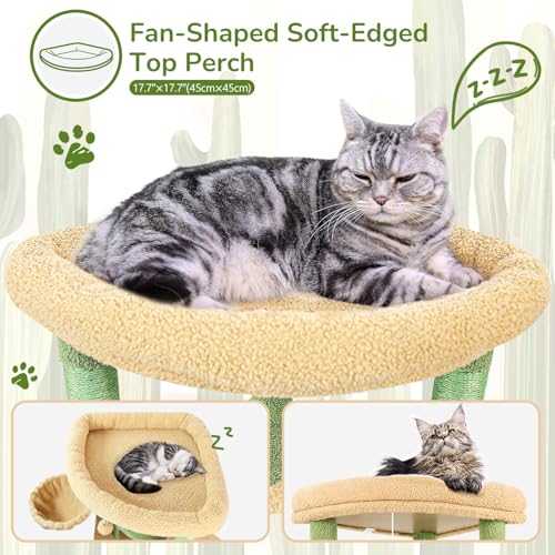Globlazer Cactus Corner Cat Tree Tower with Scratching Post, C51, Green - color: Cactus Green, size: 51inch