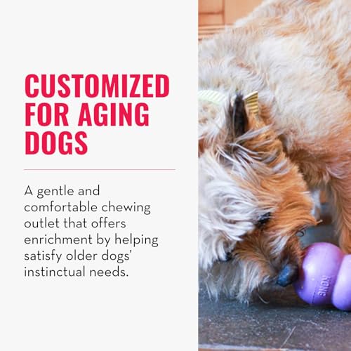 KONG Senior, Gentle Natural Rubber Stuffable Dog Toy, for Small Dogs - size: Small (Pack of 1)