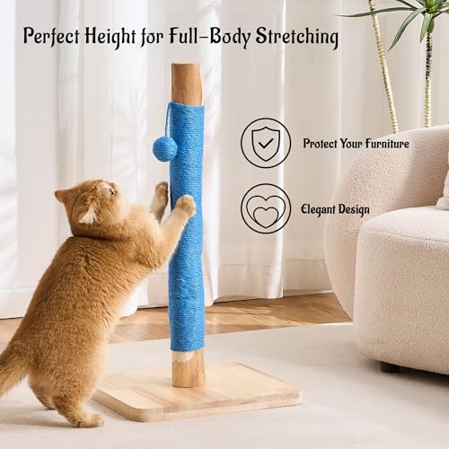 29" Tall Solid Wood Cat Scratching Post for Indoor Cats, Extra Stable Heavy Base, Natural Sisal Scratcher with Hanging Ball, Furniture Protector for Kittens & Adult Cats, Blue - color: Blue