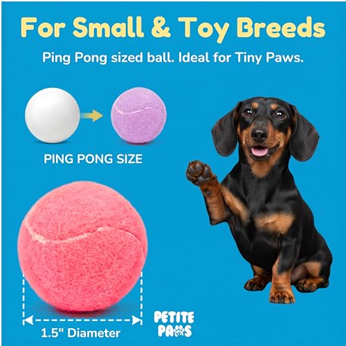 Squeaky Mini Tennis Balls for Small Dogs Puppy - 1.5 Inch - 6 Pack - Dog Toys for Small Dogs, Training Positive Reinforcement, Interactive Fetch Tiny Squeaker Balls for Ball Launcher - size: 1.5", style: 6 Pack