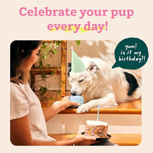 WOOF Pupsicle Interactive Dog Ball Toy for Dogs XL 75 lbs & Up - Blue - color: Blue, size: X-Large