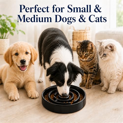 Ceramic Slow Feeder Dog Bowl, 1.5 Cup Puzzle Dish for Small Medium Dogs - color: Ceramic-Black