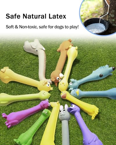 SCHITEC Squeaky Dog Toys, [2 Pack] Squawking Latex Toy with Interactive Squeaker, Squeak Rubber Duck Chicken for Medium Small Dogs - style: Chick & Fox