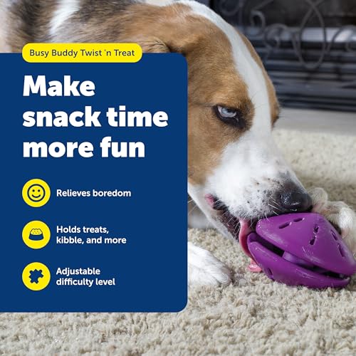 PetSafe Busy Buddy Twist 'n Treat Dispensing Dog Toy, Large - size: Large (Pack of 1)