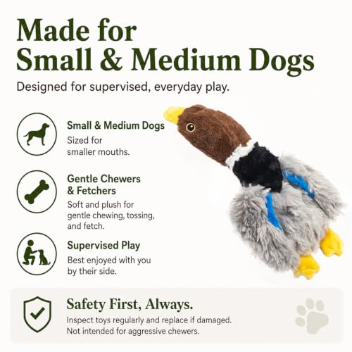 Extra-Plush Stuffing-Free Duck Dog Toy, Soft Plush Squeaky Toy with 2 Squeakers and Crinkle Wings for Small Medium Dogs, Long Pile Toy for Gentle Chewers - color: Brown