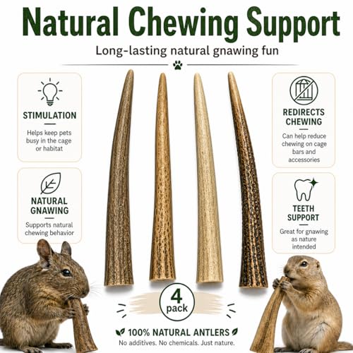 WhiteTail Naturals Small Animal Antler Chews, 4 Pack Gnaw Stick Toys