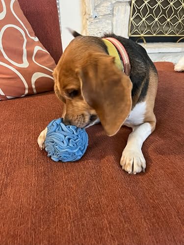 Glory To Dog Puppy/Small Breed Snuffle Dog Puzzle Ball Toy Blue Extra Small - color: Blue, size: Extra Small