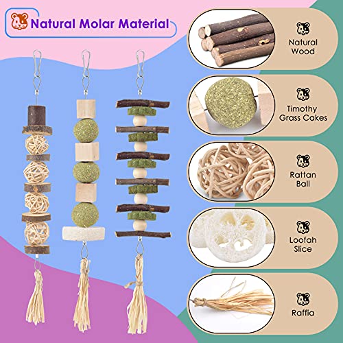 Bissap 3PCS Bunny Chew Toys, Natural Hanging Molar Treats for Small Pets - size: 3 PCS