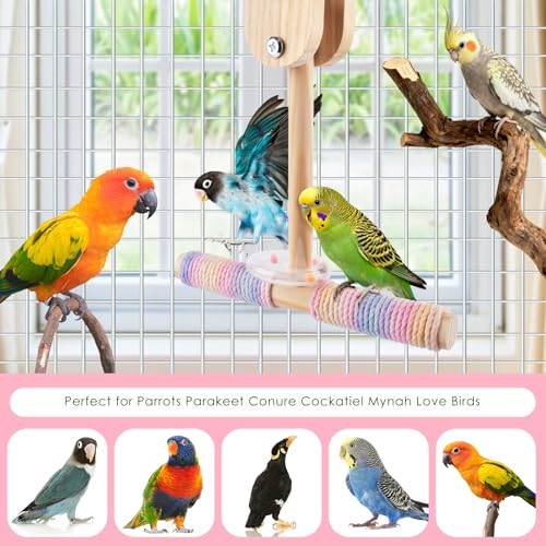 Bissap Shake Bird Perch Toy, Wooden Hanging Stand for Small Medium Parrot