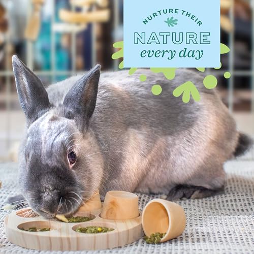 Oxbow Timothy Hay Hide & Seek Mat, Small – Rabbit & Guinea Pig Toys for Chewing & Relaxation, Enrichment for Bunny, Hamster, Chinchilla, Rat, Timothy Hay Small Animal Cage Accessories (Pack of 2) - size: Small (Pack of 2)