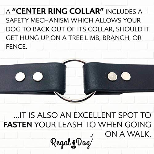 Regal Dog Products Waterproof Dog Collar, Nickel Double Buckle, Large Black - color: Black, size: Large