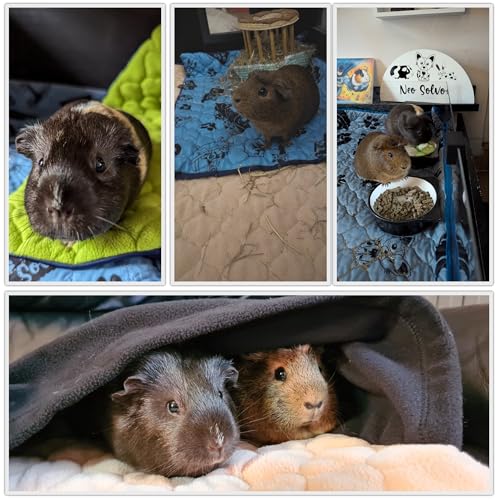 Fleece Cage Liner for Guinea Pigs and Rabbits