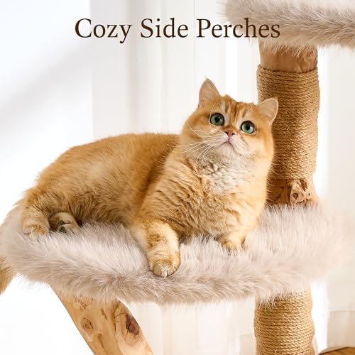 HITTITE Natural Wood Cat Tree Tower with Scratching Post, 53.5 Inches Tall Modern Cat Tower with Cozy Bed and Condo, Luxury Real Branch Cat Tree for Indoor Cats Large Adult, Khaki. - color: 53"-Khaki