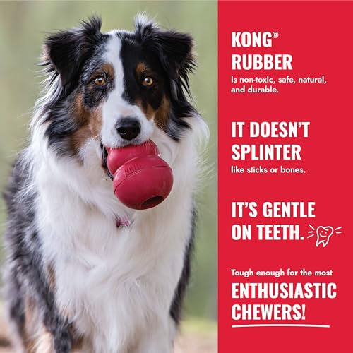 KONG Ball with Hole, Natural Rubber Fetch Toy, Red, for Large/X-Large Dogs - size: Large