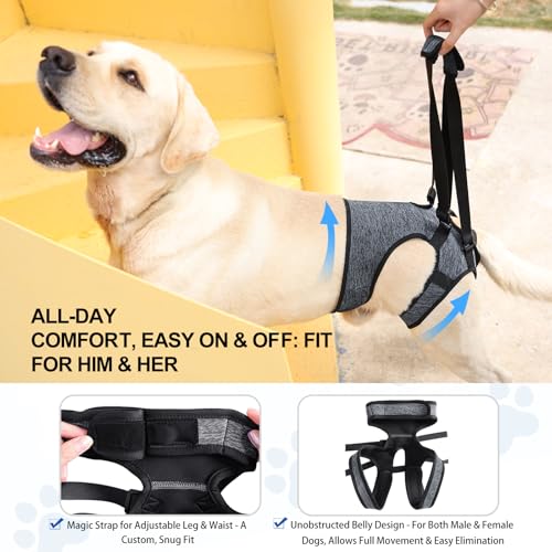 LIANZIMAU Dog Sling for Large Dogs Adjustable Hind Leg Support Lift Harness Senior Canine Mobility Aid Carrier for Back Legs Walking Rehabilitation - color: Grey, size: M（Waist:18"-21")