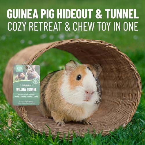 Small Pet Select Tiny Paws Willow Tunnel, Jumbo, 13.5x12x9.5 in