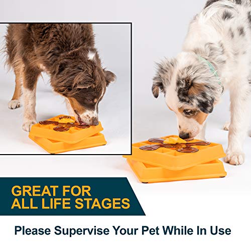 Our Pets Waffle Interactive Puzzle Game Dog Toys (Dog Puzzle Toy-Great Alternative to Snuffle Mat for Dogs and Slow Feeder Bowls) Cat Puzzles & Interactive Toys for Treats