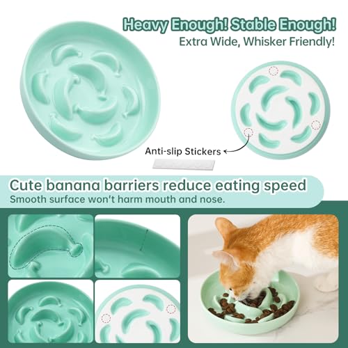2 Pack Ceramic Cat Slow Feeder Bowl Set, 6.3" Wide, Slow Eating 5X - color: White and Green