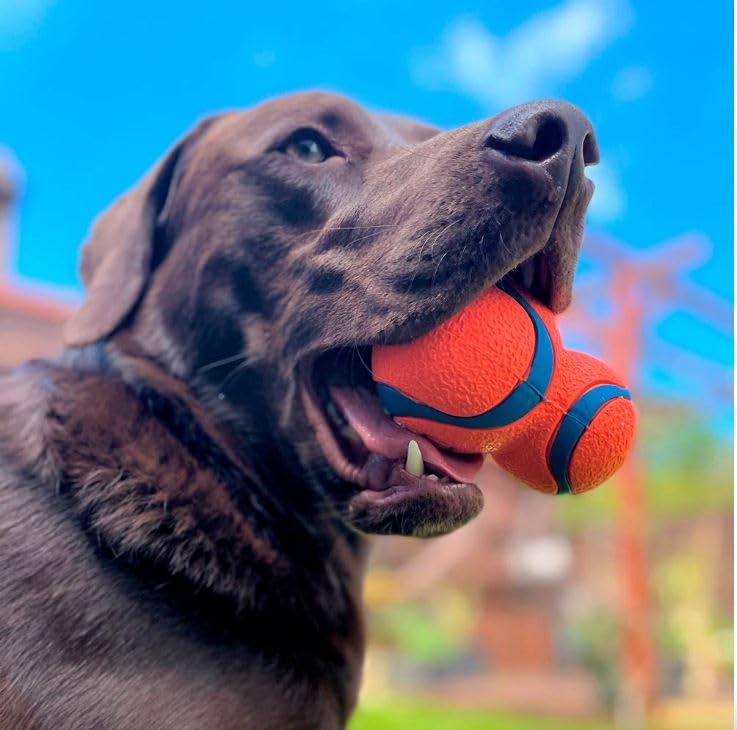 Chuckit! Ultra Tumbler Dog Fetch Toy - size: Tumbler