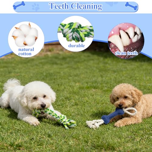 Puppy Play Gym Hanging Tug Toy for Small Dogs Puppies Adjustable Height