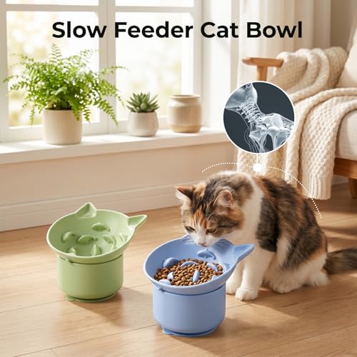 2 Pack Elevated Slow Feeder Cat Bowl for Dry and Wet Food, Silicone Cat Slow Feeder, Tilted Design with Non Slip Base for Digestion Anti Vomit, Adjustable Angle (Green, Blue)