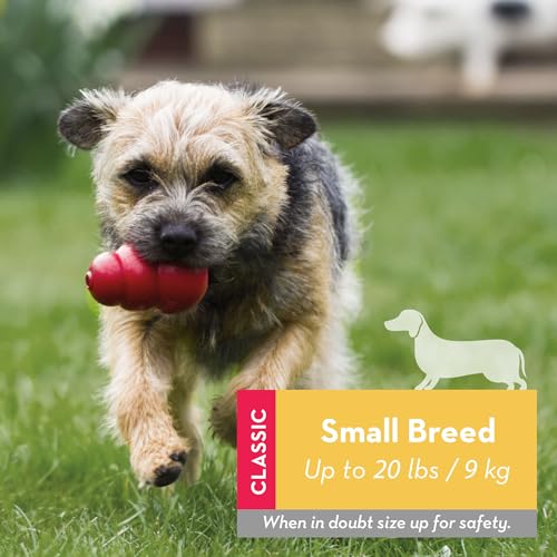 KONG Classic Toy and Easy Treat Peanut Butter Spray, 14 oz, Small Dogs