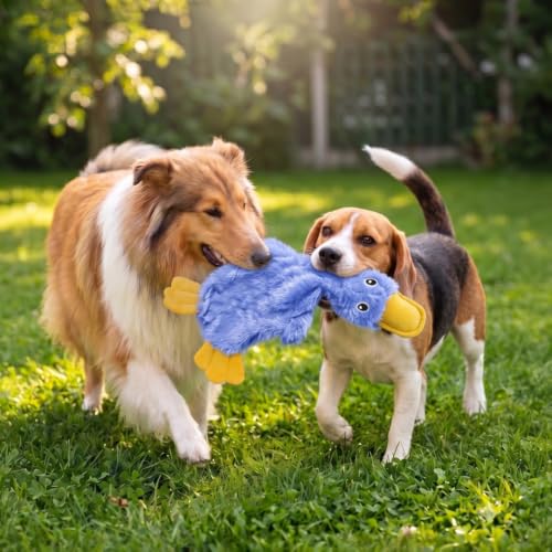 Best Pet Supplies Interactive Squeaky Dog Toy - Crinkle Duck, Blue - color: Crinkle Duck (Blue), size: Large