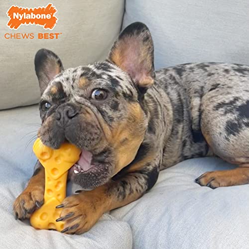 Nylabone Power Chew Toy Bundle, Dog Toys for Aggressive Chewers, 3 Pack - color: Broccoli 3 Pack, size: Small