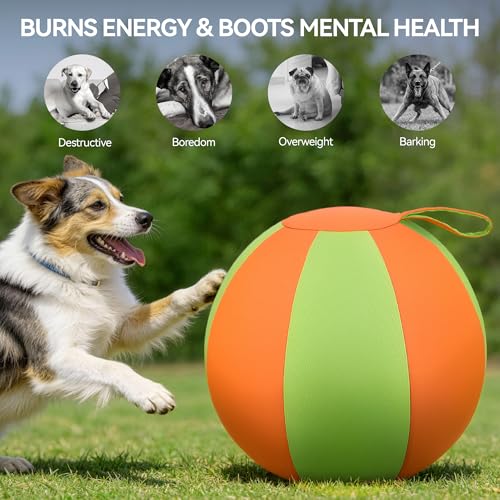 ALL FOR PAWS Herding Ball for Dogs, 22'' Dog Agility Training Balls with Handle for Outdoor Play, Anti-Burst Ball for Australian Shepherd & Horses, Interactive Toy Balls for Medium & Large Dogs