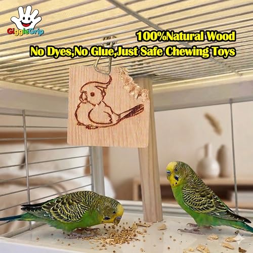 10 Pack Bird Chew Toys, 100% Natural Pine Wood Blocks for Parrot Chewing & Beak Trimming, Durable Bird Cage Accessories for Medium Small Birds, Conures, Cockatiels