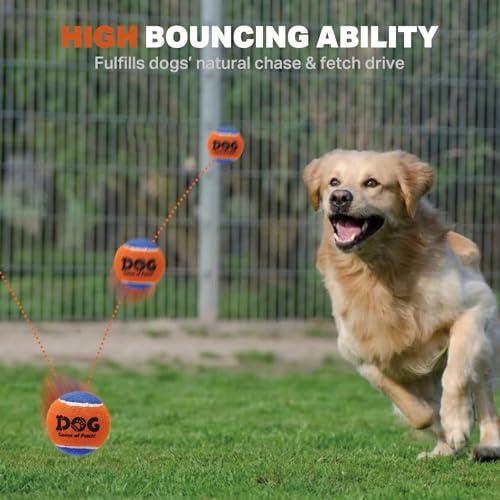 AMA SPORT Squeaky Tennis Balls for Dogs 2.0" Small Dog Tennis Balls for Throwing and Fetching Dog Toys for Training, Exercise, High Bouncing 6 Pack (Multicolor A) - color: Multicolor A, size: Small