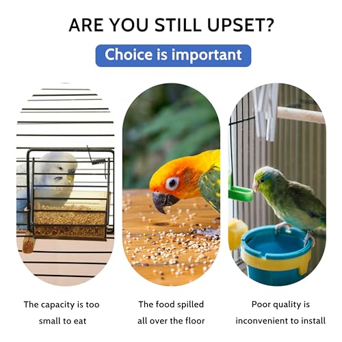 Automatic Bird Feeder, No Mess Acrylic Parrot Foraging Feeders, Transparent Bird Feeder Container Cage Accessories for Most Birds Parrot Canary Cockatoo(2 Pack) - color: Transparent blue