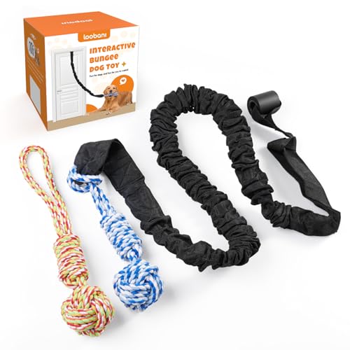 LOOBANI Outdoor Bungee Tug Toy, Interactive Dog Door/Tree Hanging Toys - color: Blue+Orange