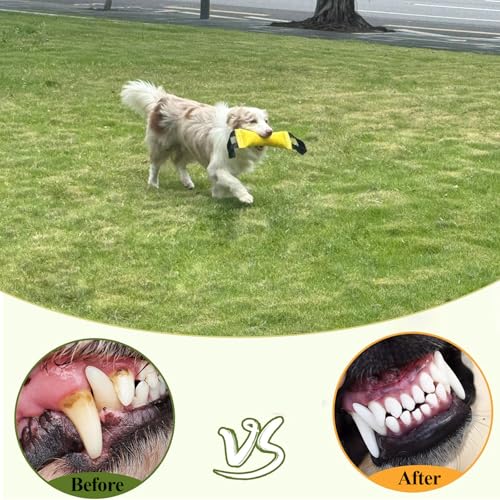 ASOCEA Dog Pool Toys,Water Floating Toys Interactive Tug Toys