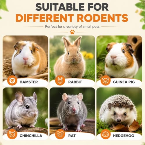 100% Natural Alfalfa Hay Treats 36 Pieces, Heart Shaped Grass Molar Cookies, Healthy Additive-Free Daily Snacks for Rabbits, Chinchillas, Hamsters, Guinea Pigs