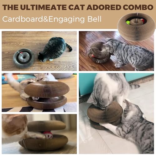 Interactive Cat Toy & Cardboard Cat Scratcher, Round Single-Layer Track