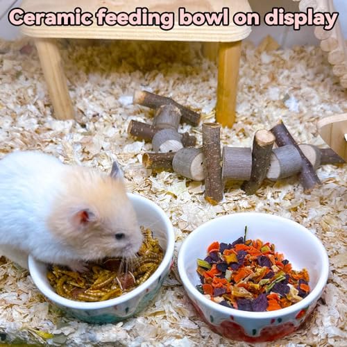 2 Pack Ceramic Guinea Pig Food Bowl Hamster Food Bowls for Gerbil Rat - color: Red + Blue