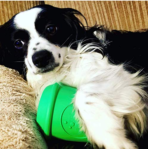 SodaPup Coffee Cup – Durable Dog Treat Dispenser & Chew Toy Made in USA from Non-Toxic, Pet Safe, Food Safe Natural Rubber Material for Mental Stimulation, Problem Chewing, Calming Nerves, & More