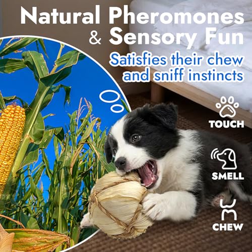 Natural Dog Chew Toys, 6pcs Woven Grass Chew Balls for Dogs, Dental Teething Toys & Interactive Fetch Toys, Outdoor Rattan Digestible Chew Ball for Boredom Relief and Teeth Cleaning - color: 6Kinds