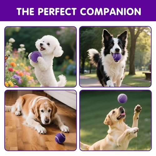 PHOEPET 6-Pack Tennis Balls for Beginner Training Practice- Bulk Dog Balls - color: Purple-6 Pack, size: Medium 2.5"- 6 Pack